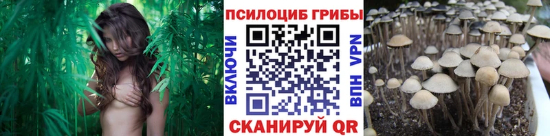 гидра   Ейск  Псилоцибиновые грибы мухоморы 